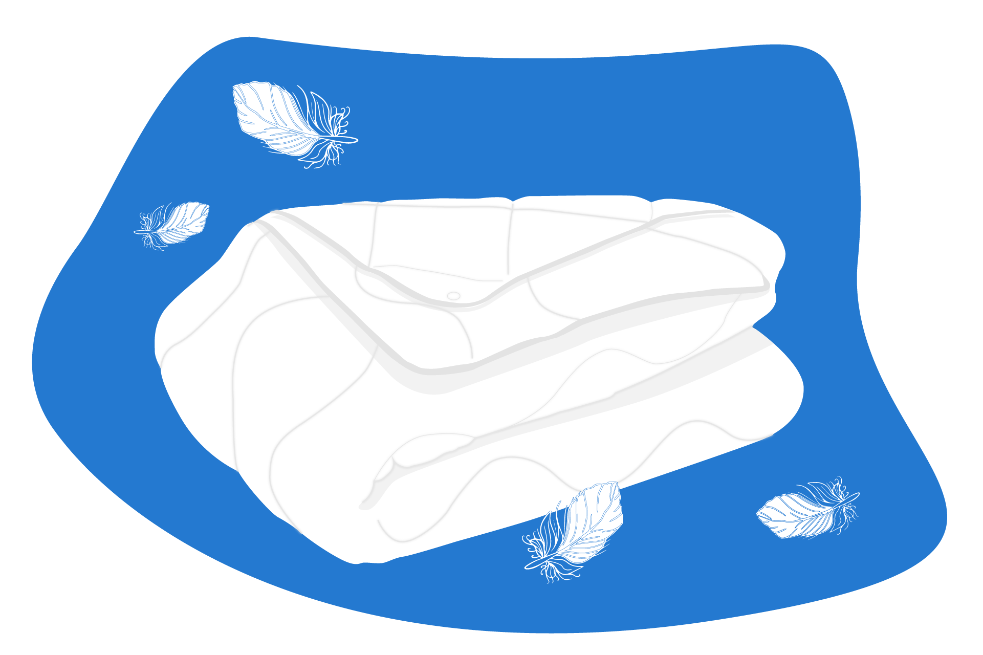 laver couette plumes